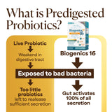 LABO Nutrition Biogenics 16 Probiotic Supplement 10g ingredients list