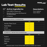 Labs Creatine HCl Capsules bottle with 60 capsules
