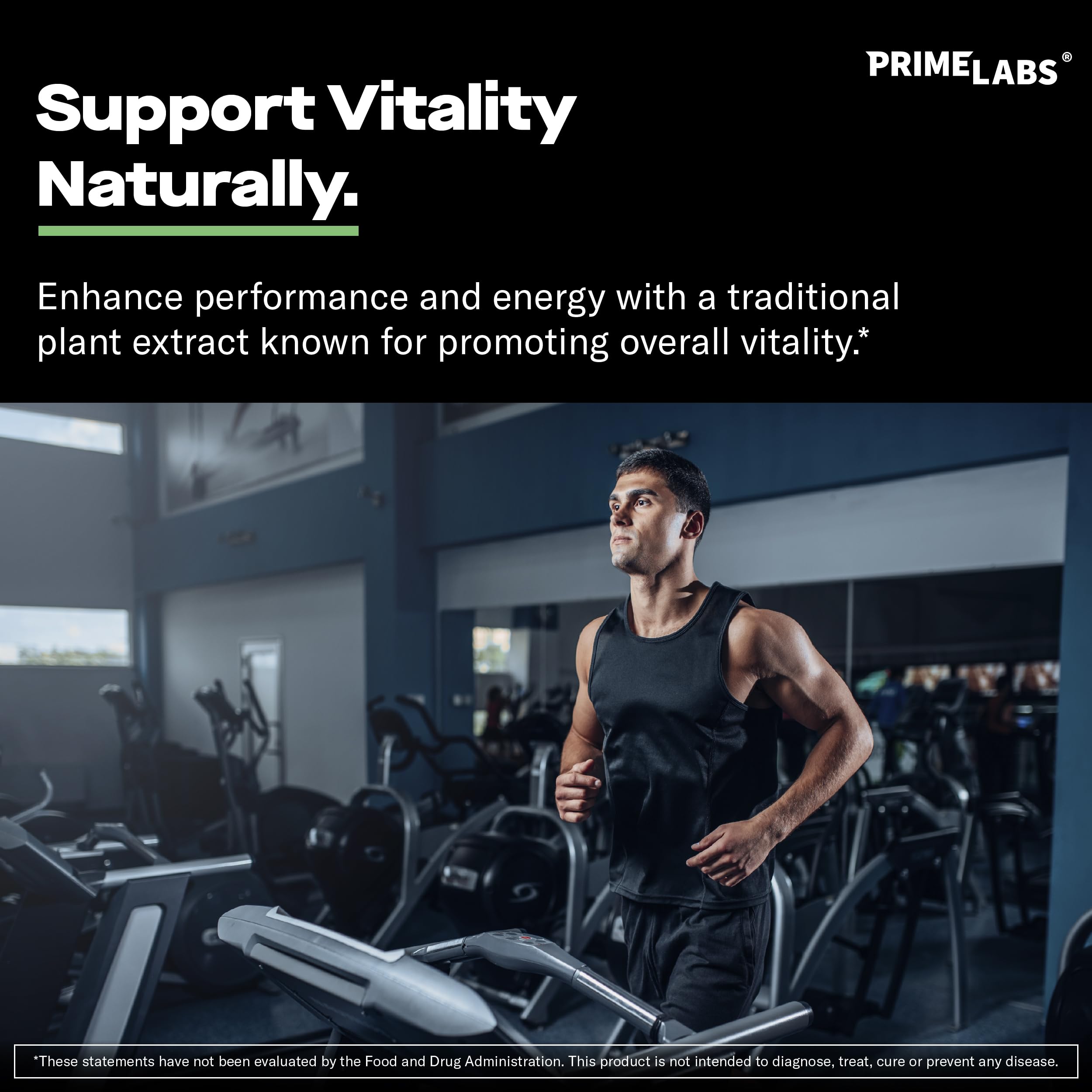 Labs Fadogia Agrestis Extract 10:1 supplement back view