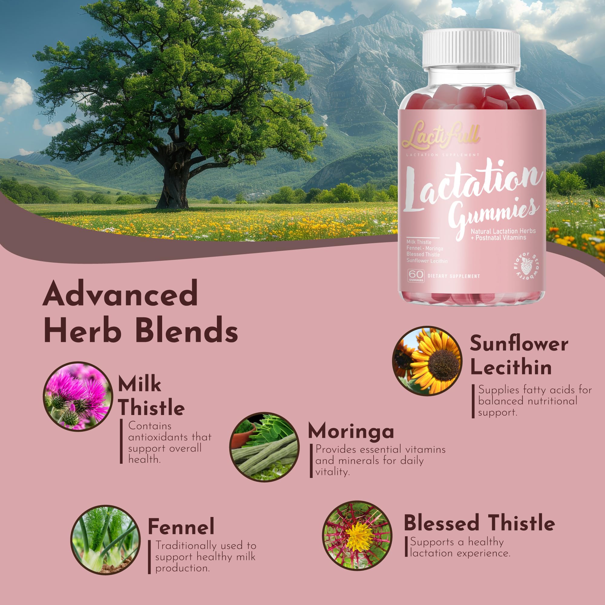 LactiFull Lactation Gummies bottle with label