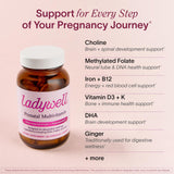 Ladywell Prenatal Multivitamin ingredients list