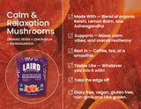 Laird Superfood Cognitive Support Mushroom Blend 100g product close-up