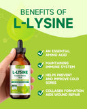 LAMGINY L-Lysine Liquid Drops 1000mg bottle with dropper