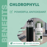 Land Art Liquid Chlorophyll 500ml bottle back view