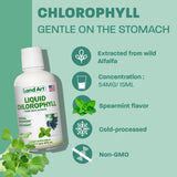 Land Art Liquid Chlorophyll 500ml bottle with mint leaves