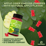 LanranBee Apple Cider Vinegar Gummies back view with ingredient list