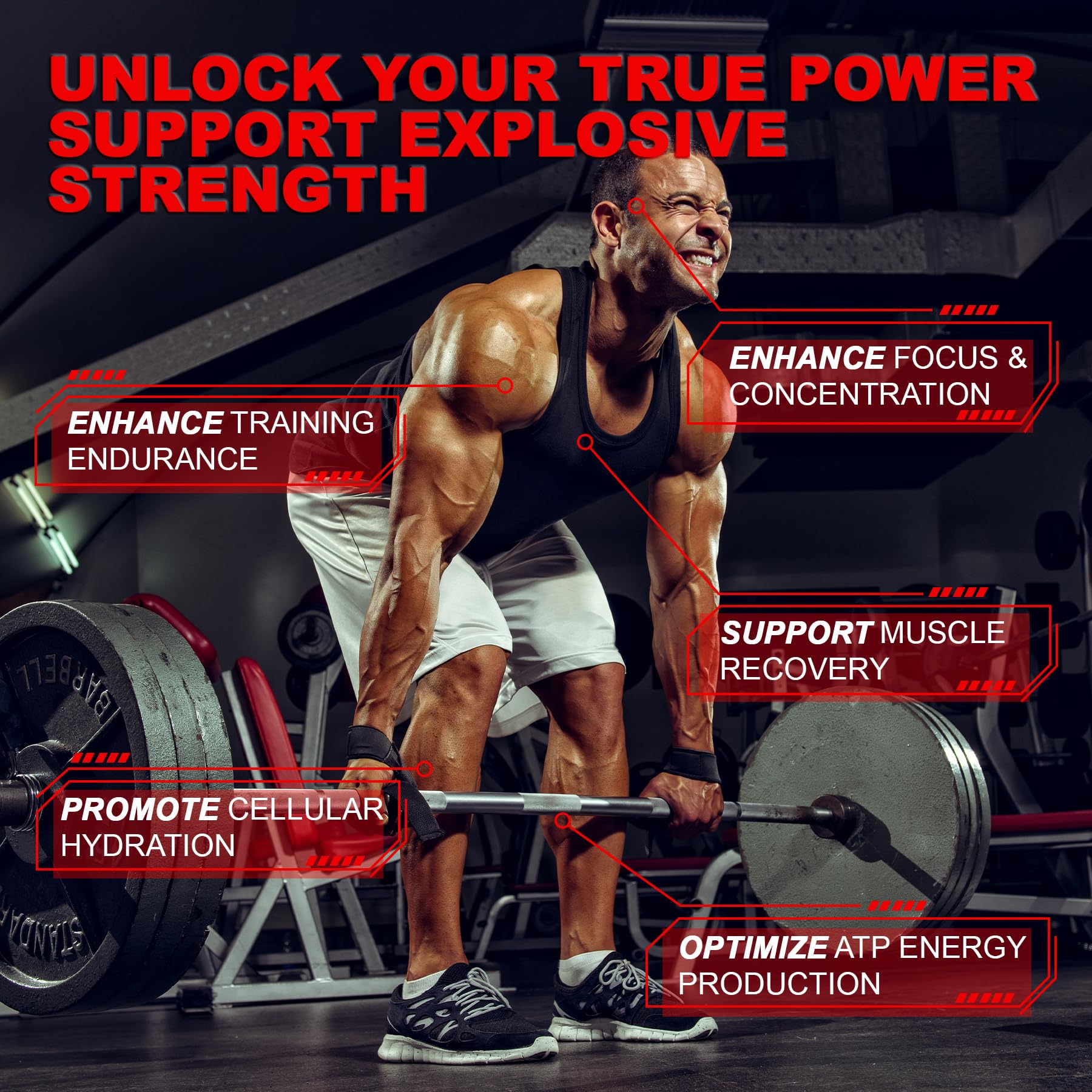 LanranBee Creatine Gummies with gym equipment