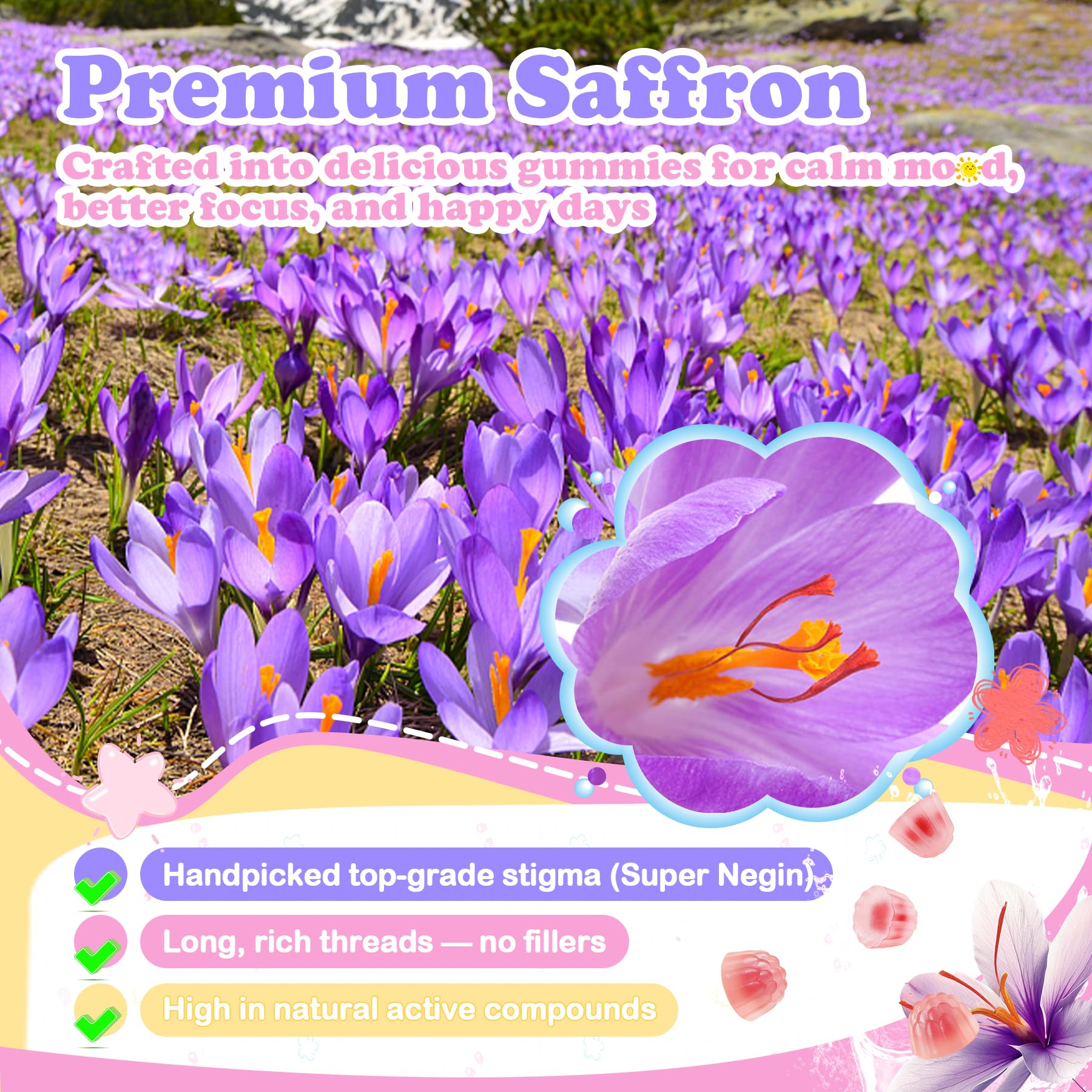 LanranBee Saffron Gummies with a measuring spoon for dosage