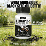 LANZF Black Seed Oil Softgels side view showing softgel size