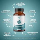 Layer Origin Akkermansia Muciniphila Prebiotic Supplement capsule close-up