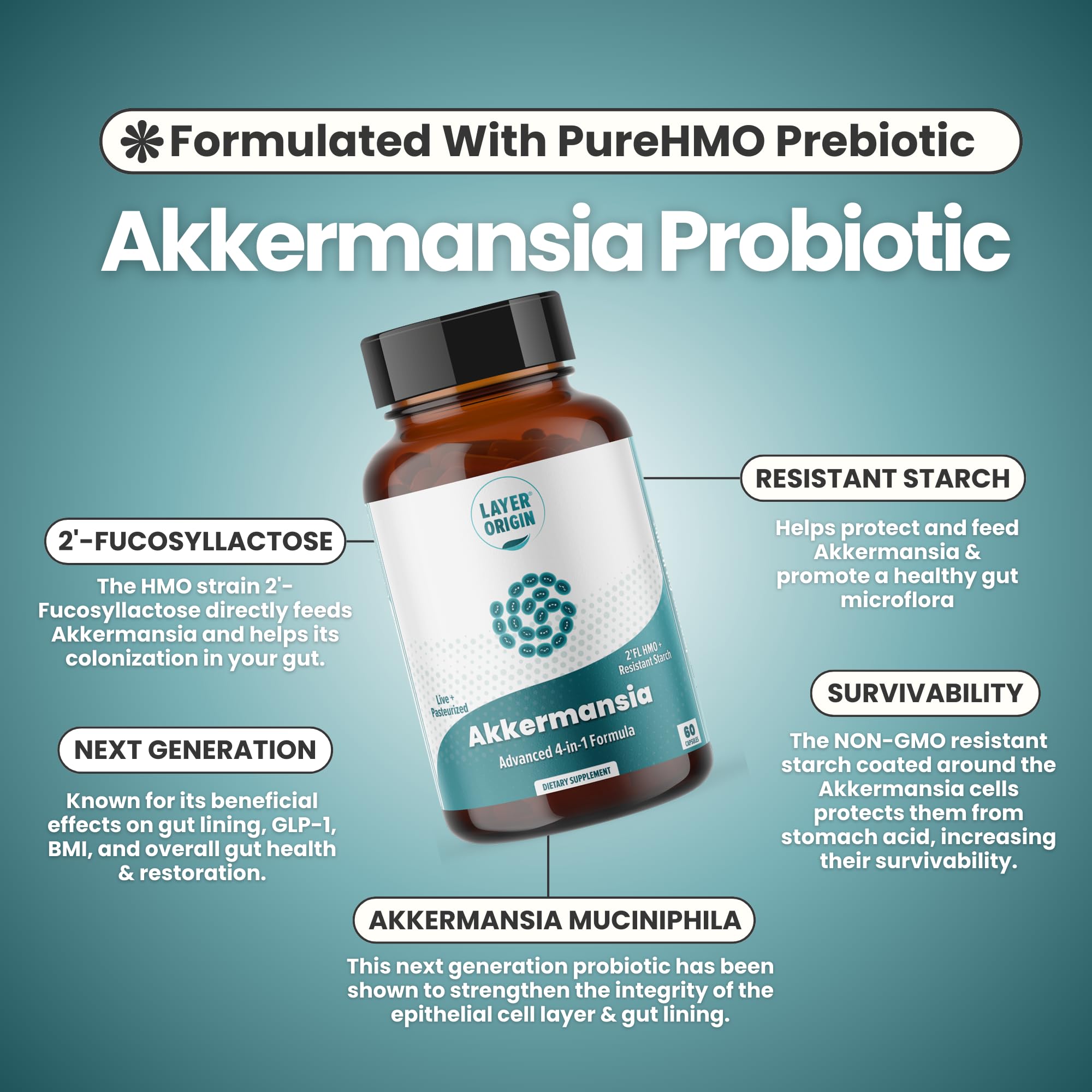 Layer Origin Akkermansia Muciniphila Prebiotic Supplement ingredients list