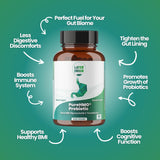 Layer Origin Prebiotic Powder 50g on a kitchen counter