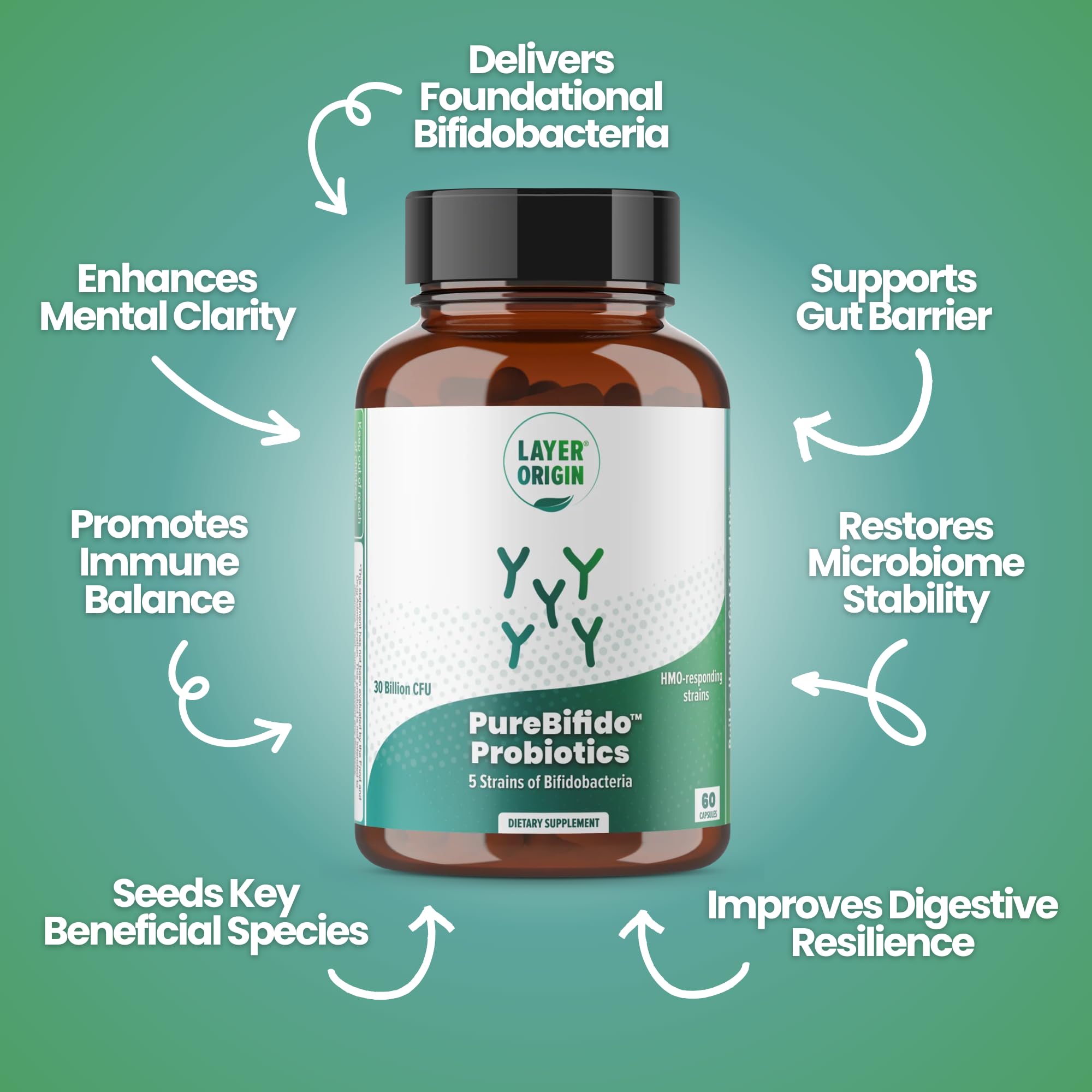Layer Origin Probiotic Acidophilus Supplement lifestyle scene on kitchen counter