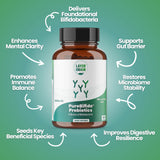 Layer Origin Probiotic Acidophilus Supplement lifestyle scene on kitchen counter