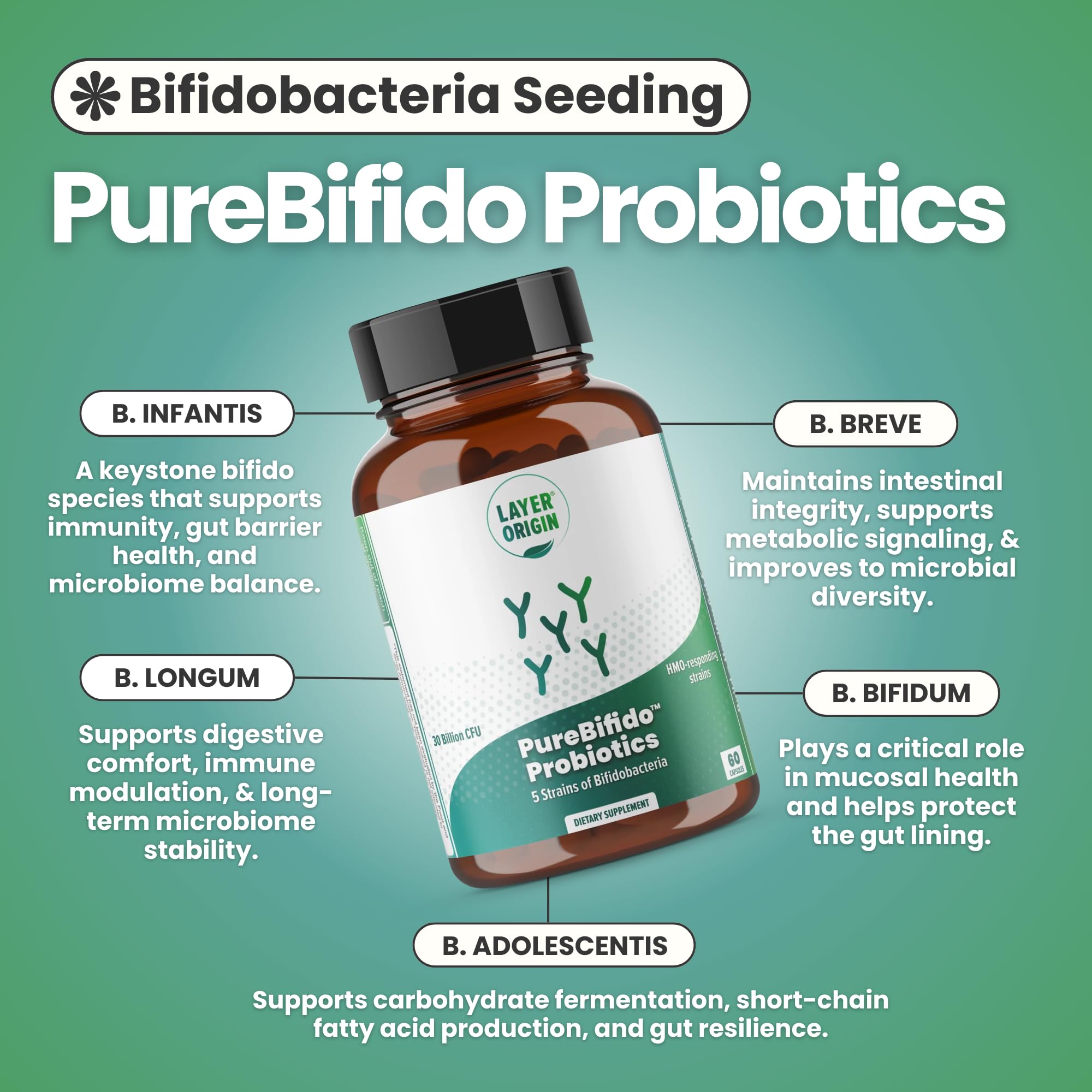 Layer Origin Probiotic Acidophilus Supplement showing capsule details
