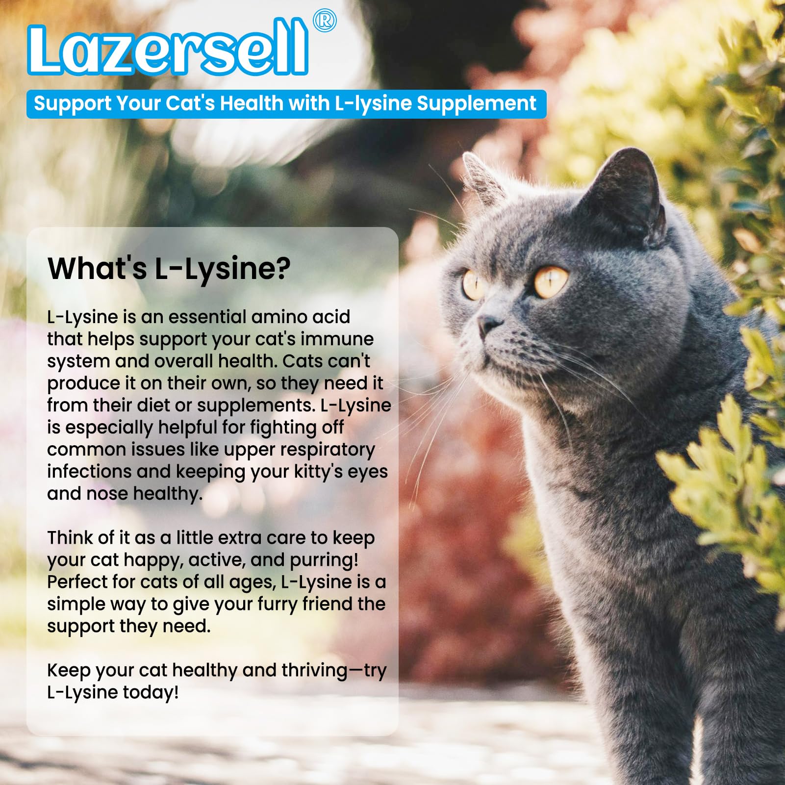 Lazersell L-Lysine liquid dropper close-up