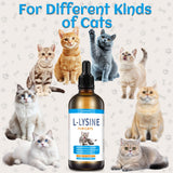 Lazersell L-Lysine liquid supplement for cats lifestyle scene