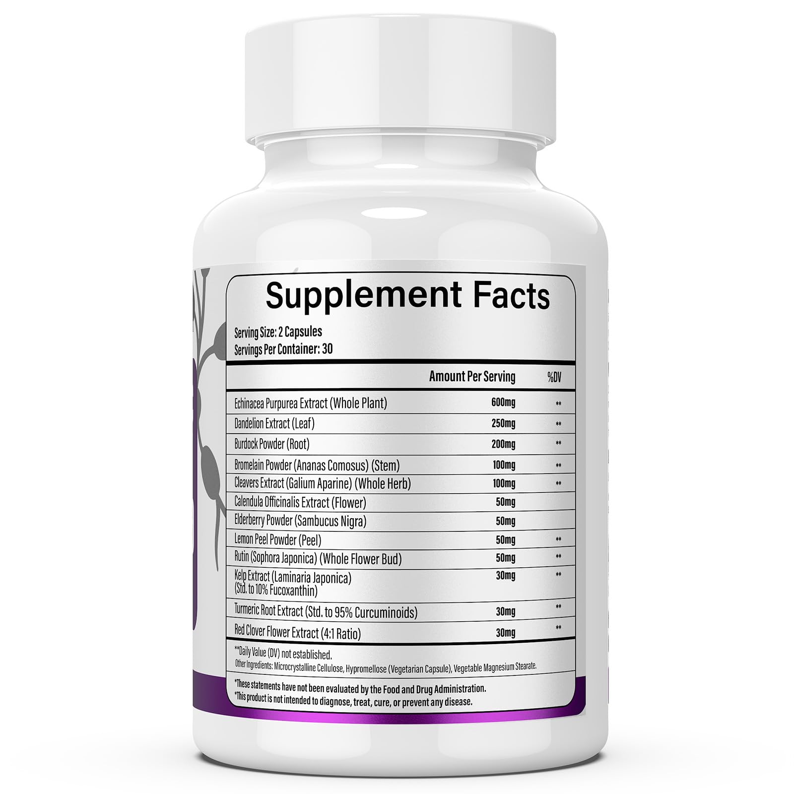 Lazpowfi Echinacea Supplement in a wellness setting with plants