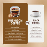 Leaead Mushroom Coffee powder in a spoon