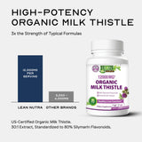 LEAN Nutraceuticals Milk Thistle capsules in hand