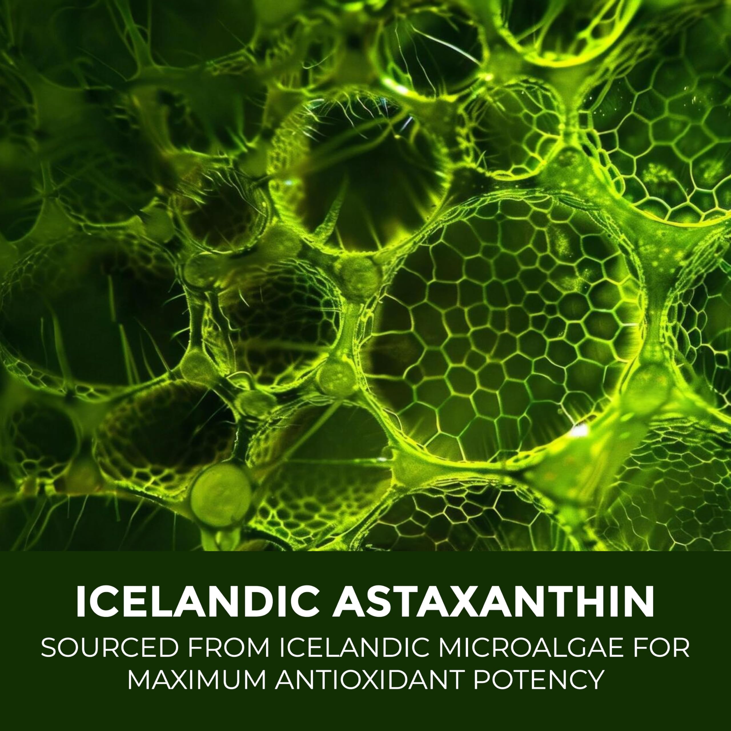 Leaping Lynx Astaxanthin 12mg capsule close-up