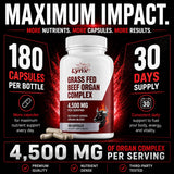 Leaping Lynx Beef Liver Capsules showing capsule size