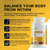 Leaping Lynx Berberine HCl capsules in hand
