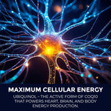 Leaping Lynx CoQ10 Ubiquinol 200mg capsules close-up