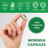 Leaping Lynx Moringa Leaf Extract 1200mg capsule bottle side view
