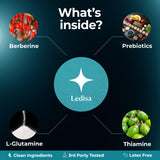 Ledisa Skin Patches back view showcasing adhesive
