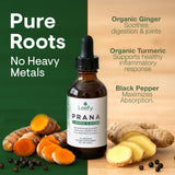 Leefy Turmeric Liquid Supplement with black pepper and ginger ingredients