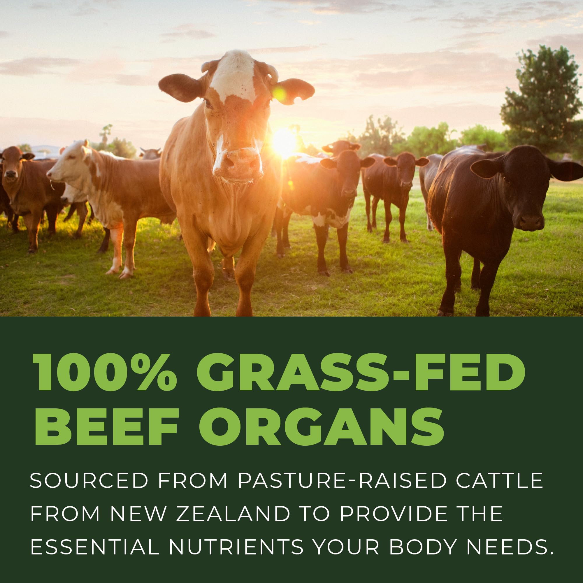 Left Coast Performance Beef Organ Supplement 150g with nutritional information