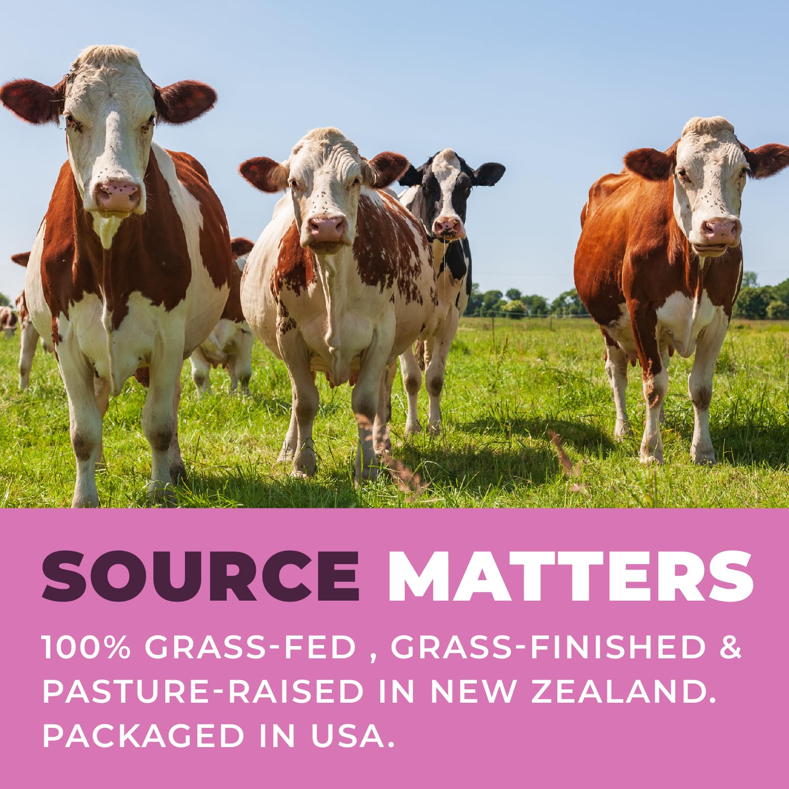 Left Coast Performance Beef Organs Supplement for Women, lifestyle scene
