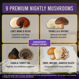 LEGRANO Evening Calm Mushroom Supplement capsule close-up