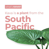LEILO Kava Kava Drink 12oz can back view with nutritional information