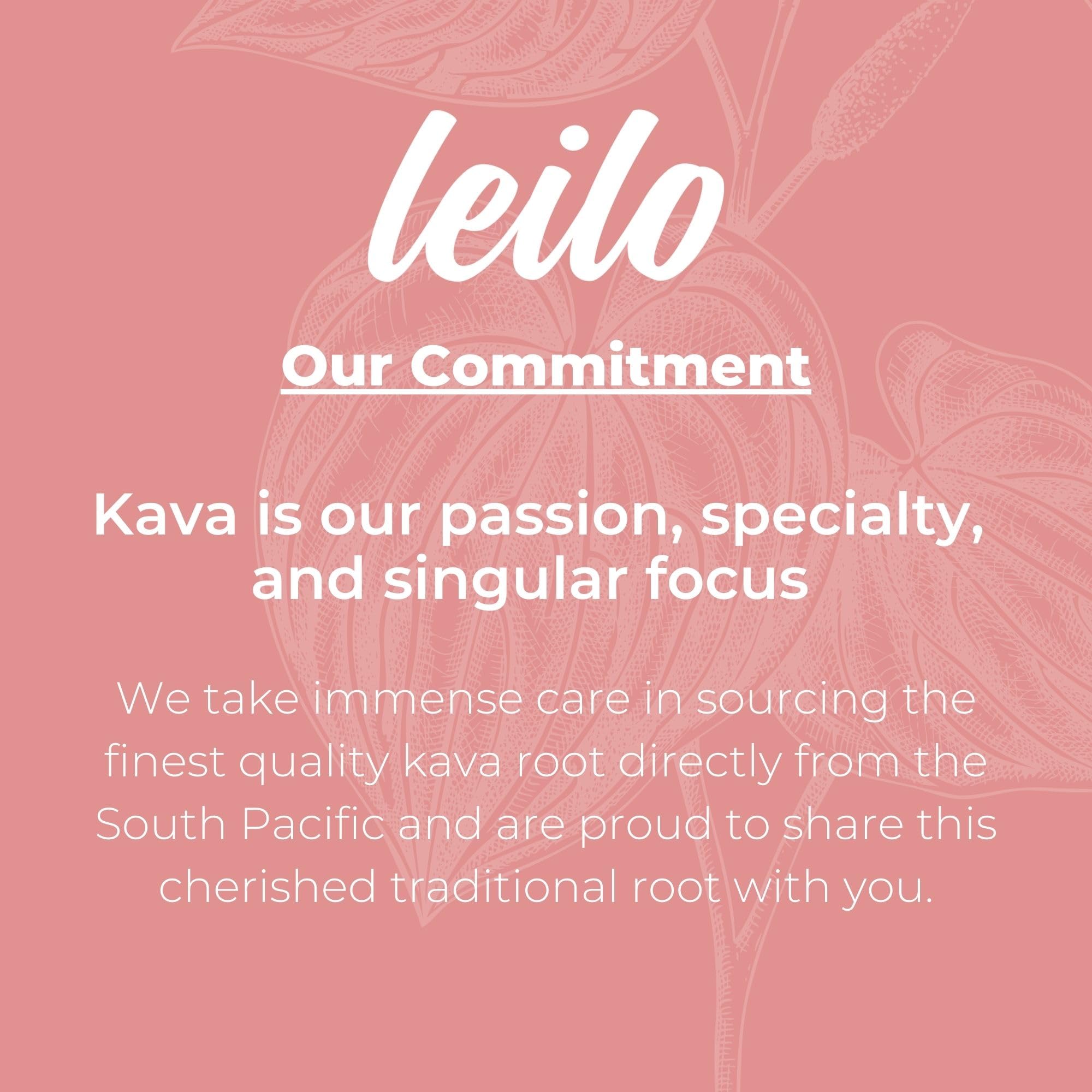 LEILO Kava Kava Drink 12oz can in a cooler for a social gathering