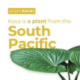 LEILO Kava Kava Drink can on ice with tropical setting