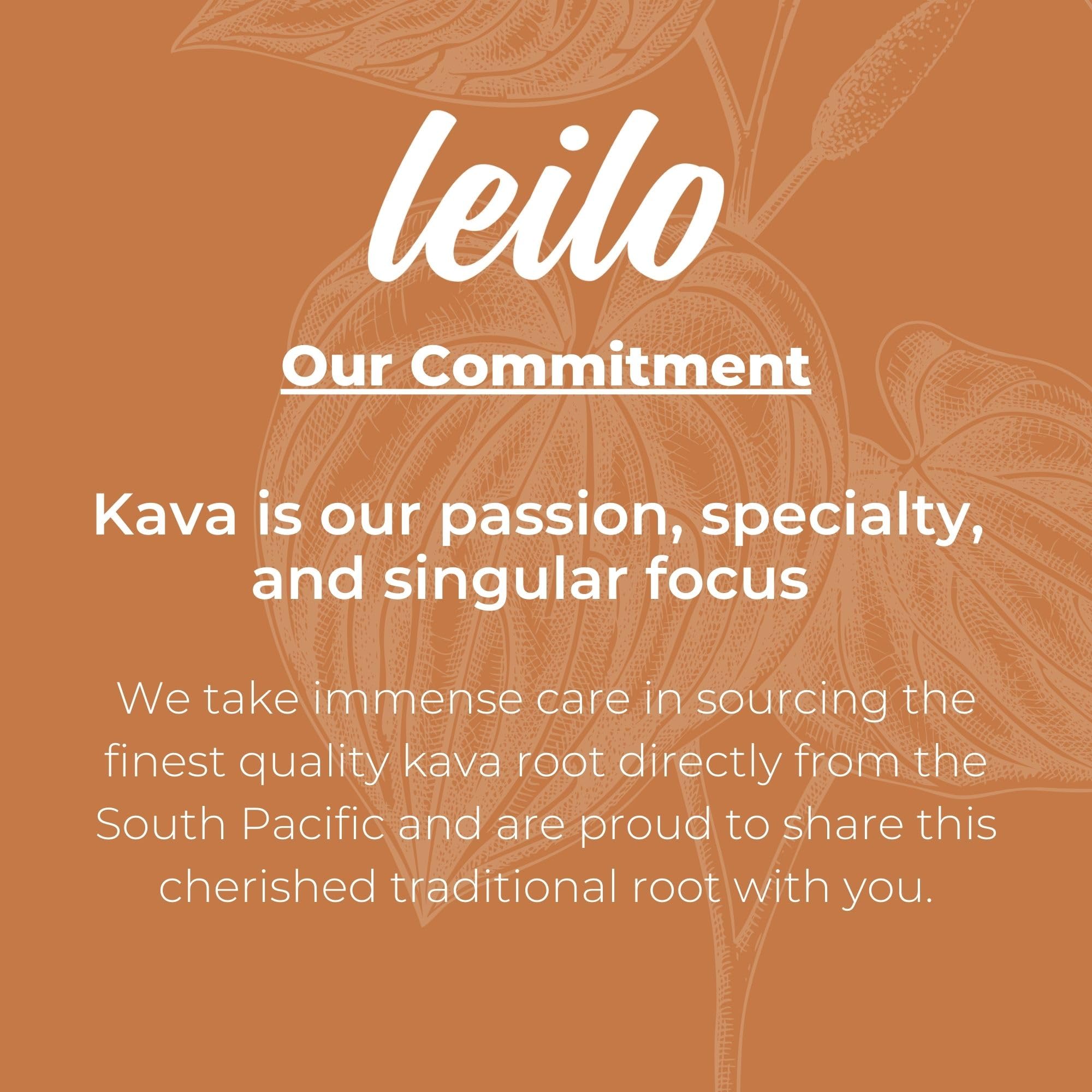 LEILO Kava Kava Mocktail Drink can with fresh ginger and lime