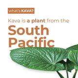 LEILO Kava Kava Mocktail Drink poured over ice in a glass
