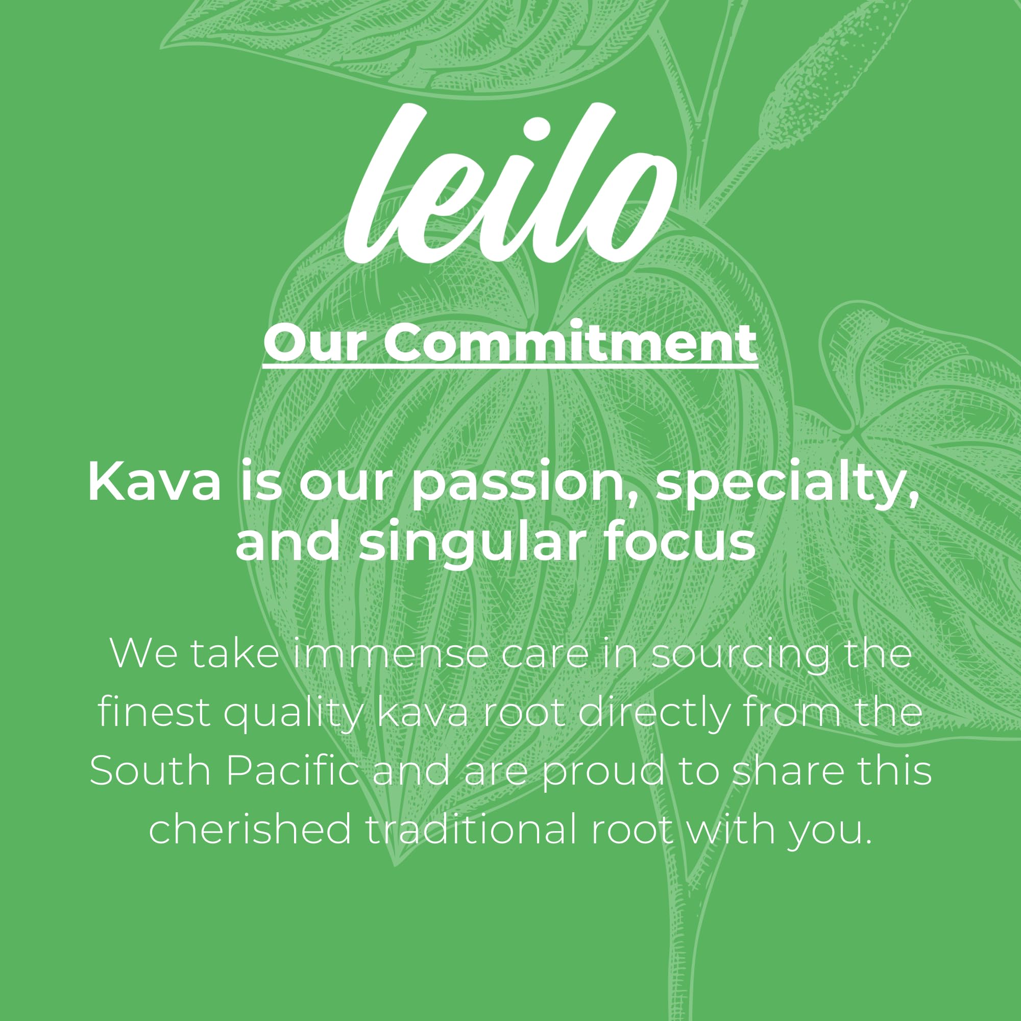 LEILO Kava Kava Mocktail Variety Pack with ice and garnish