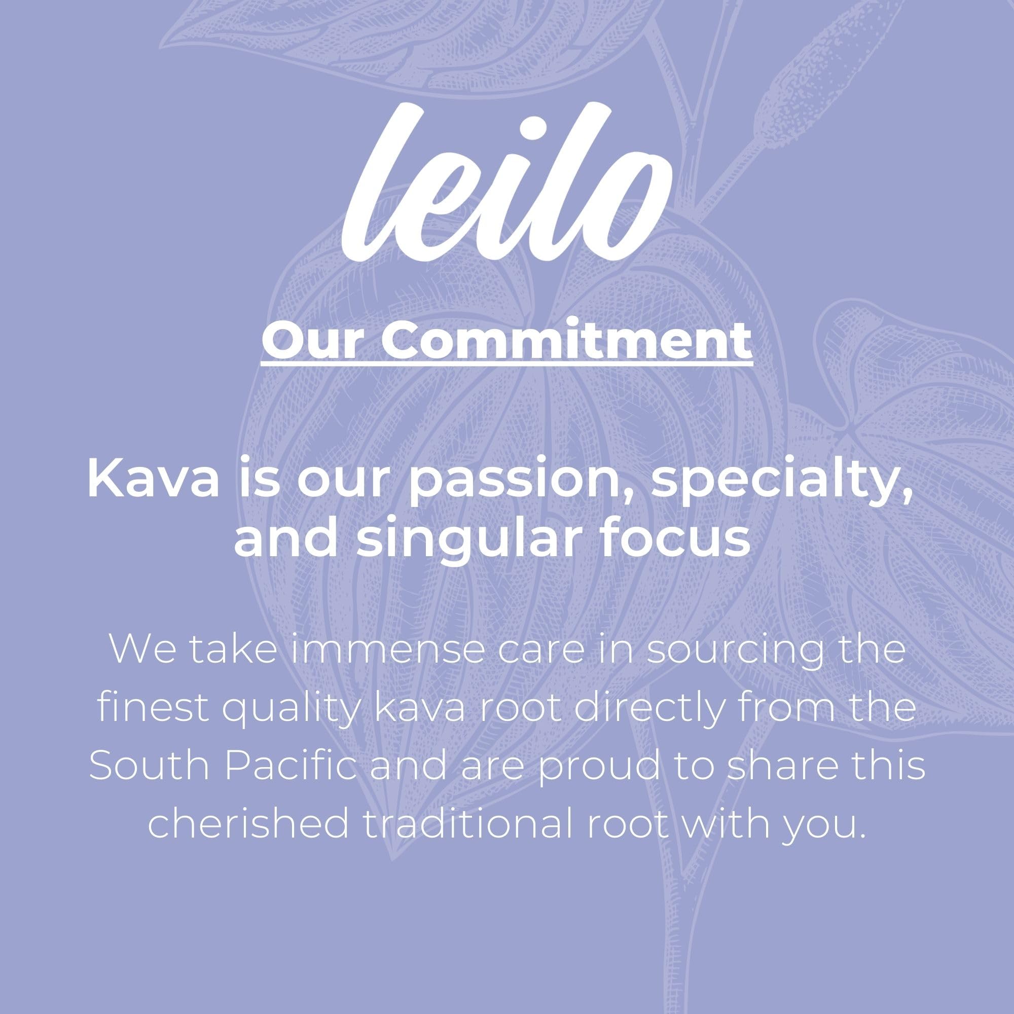 LEILO Kava Kava Sparkling Drink can with ice and fruit garnish