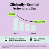 Lemme Chill Ashwagandha capsules in a hand