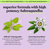 Lemme Chill Ashwagandha ingredients list