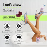 Lemme daily wellness Soft Chews Blackberry Lemonade with ingredients