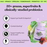 Lemme Greens Superfood Complex Gummies packaging