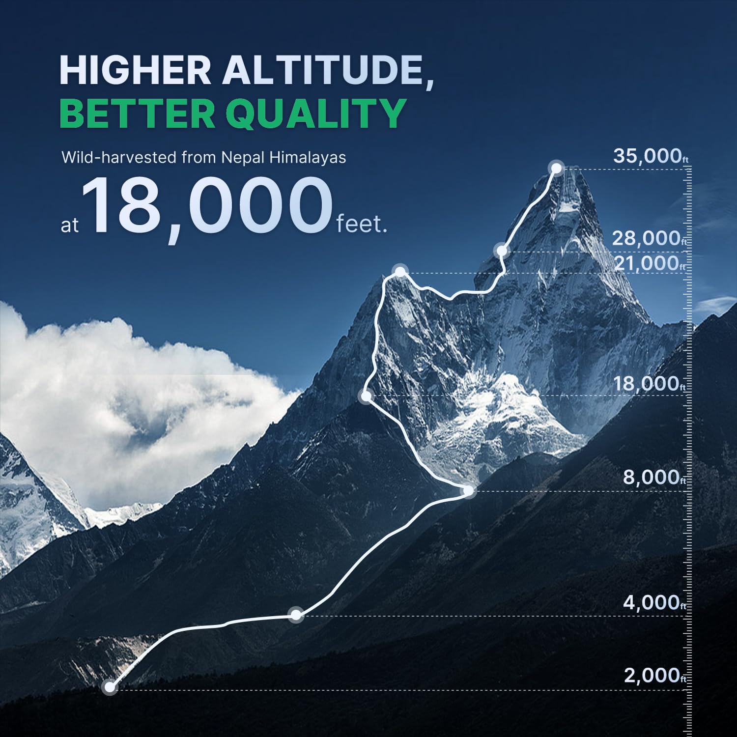 Leotri Shilajit Resin product details on the label