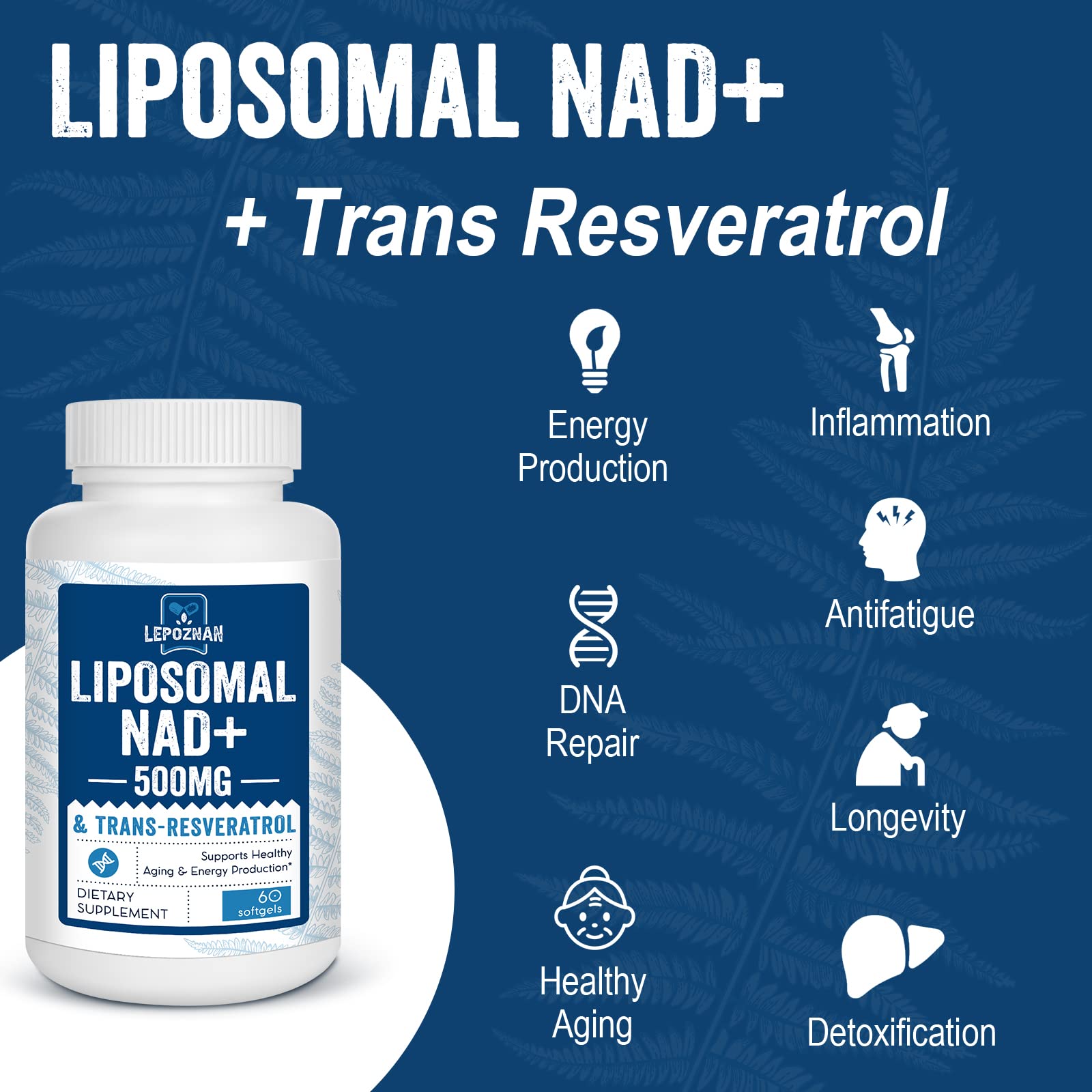 Lepoznan Liposomal NAD+ and Trans-Resveratrol supplement ingredients list