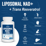 Lepoznan Liposomal NAD+ and Trans-Resveratrol supplement ingredients list
