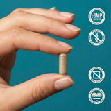 LES Labs Women's Support Supplement capsules close-up