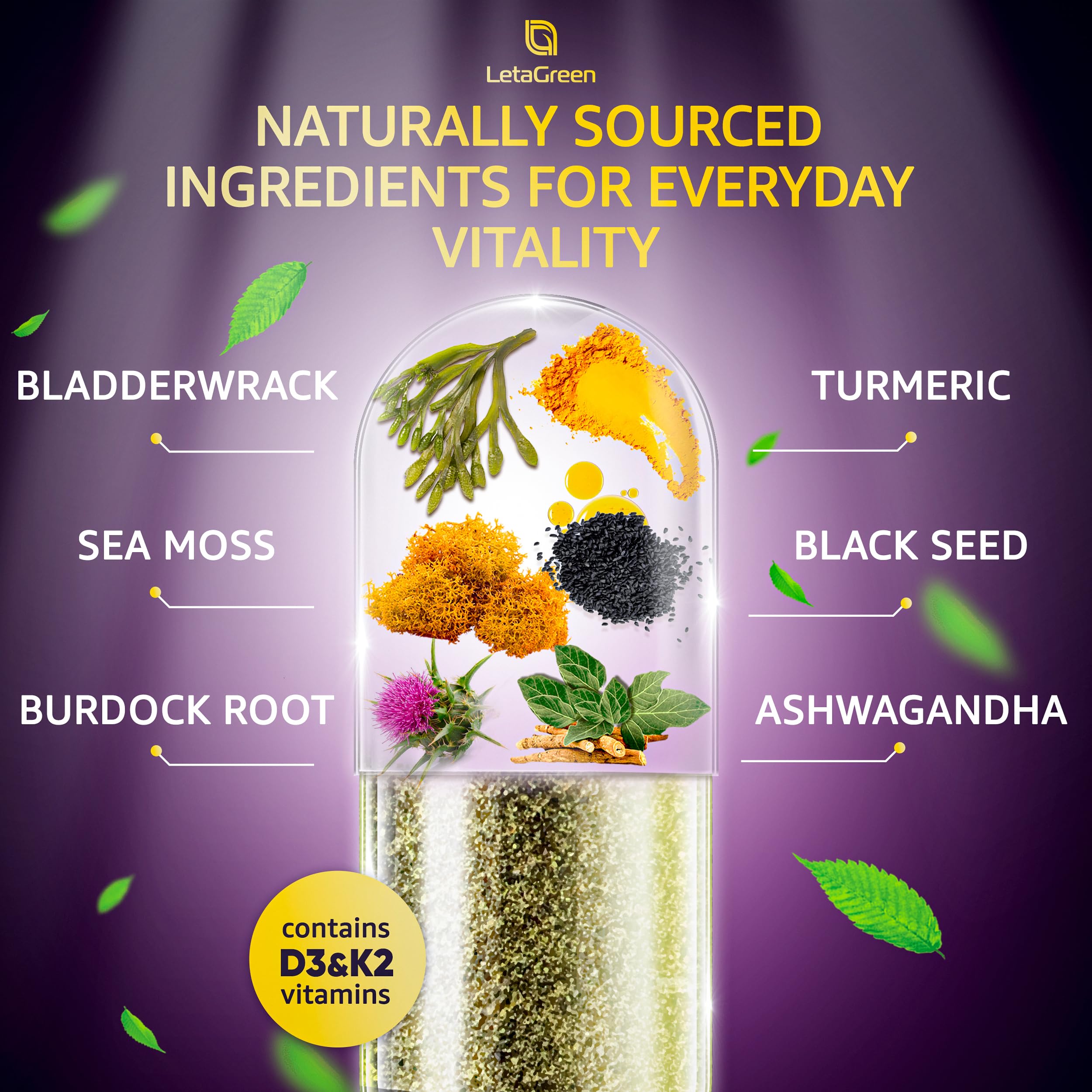 LetaGreen Sea Moss Capsules back view with ingredient list